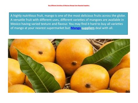 Buy Different Varieties of Mexican Mango from Reputed Suppliers by ...