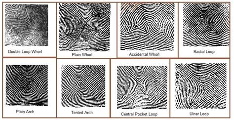 Forensics: Types of Fingerprints