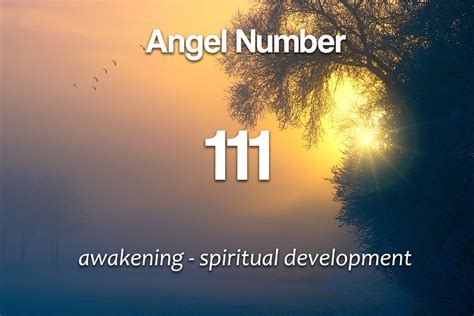 Angel Number 111 - Meaning and Symbolism - Spirit Animals