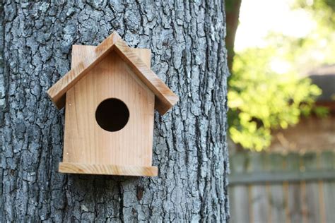 Build a Cedar Birdhouse for $2 | Ana White