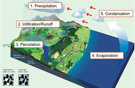 The Water Cycle – where do all... - Food & Farming Futures