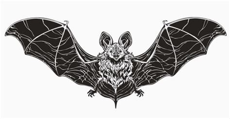 Vampire Bat Tattoo