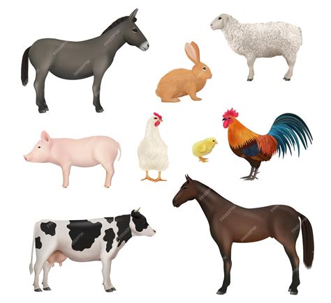 Premium Vector | Domestic animals Farm birds chickens active animal rabbit horse sheep and cow ...