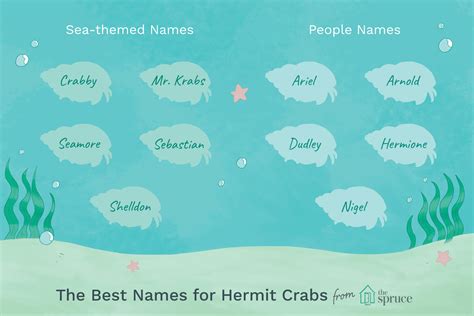 100 Names for Pet Crabs