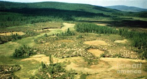 Tunguska Event Site Photograph by Science Source - Pixels