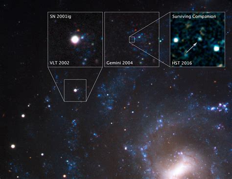 Hubble Snags First View of Supernova Explosion's Sole Survivor | Space