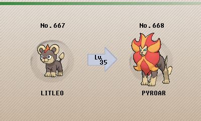 Pyroar Evolution