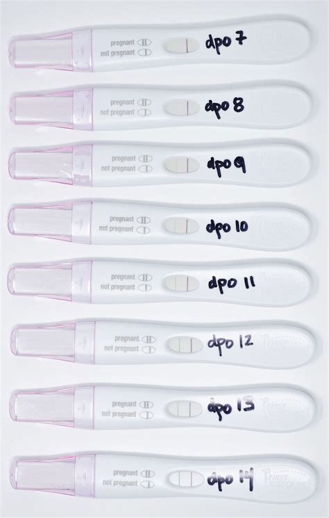 When To Take The Most Accurate Pregnancy Test Tests Reliability ...