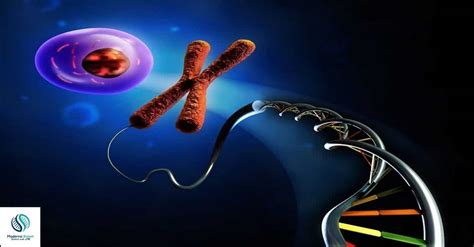 Recombinant Dna Technology