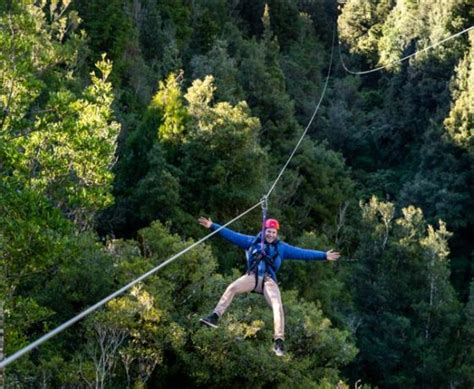 Rotorua Zipline Canopy Adventure Eco Forest Tours