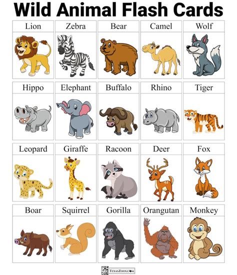 Zoo Flashcards: A Fun Way To Learn Animals! - Texas Zoos