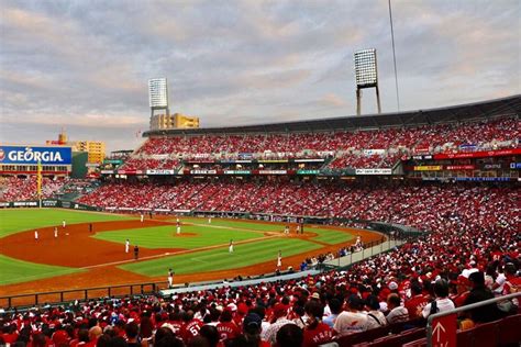 Any love for our Hiroshima Carps | Hiroshima, Carp, Japan