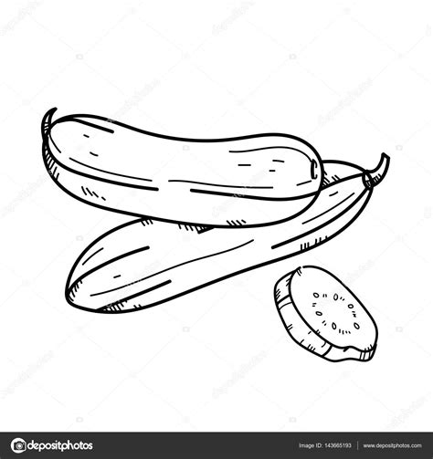 Cucumber Drawing at GetDrawings | Free download