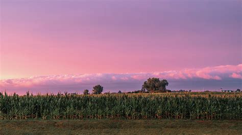 Corn Field Sunset Photograph by Bella B Photography - Pixels