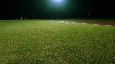 Green Grass · Free Stock Photo