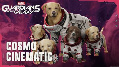 Get a Closeup of Cosmo the Space Dog in the Latest Cutscene for 'Marvel's Guardians of the ...