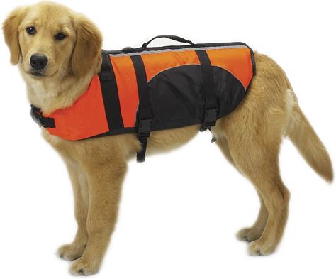 Guardian Gear Aquatic Dog Life Jacket, Orange, Small/Medium - Chewy.com