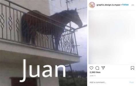 Horse Named Juan Meme - Captions Beautiful