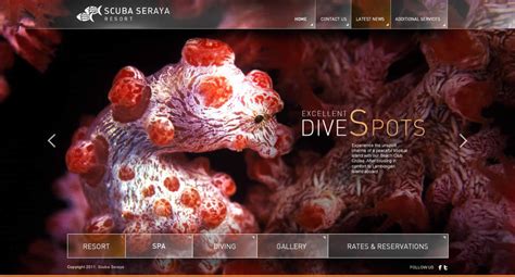 Scuba Seraya by tods on DeviantArt