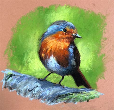 Pastel Drawing of a Robin – Timed Drawing Exercise