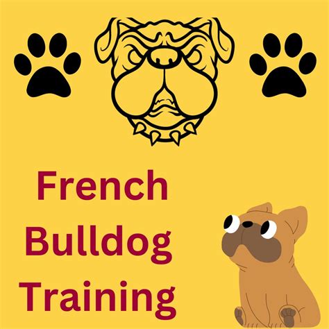 French Bulldog Training tips and tricks - Owgal