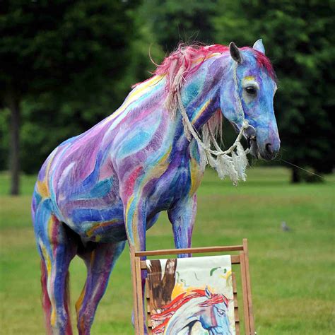 Decorate a Horse for a Parade or Costume Class