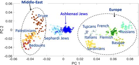 Ashkenazi jews and DNA, an interesting fact