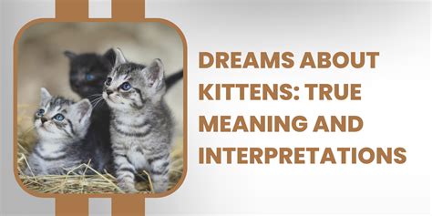 Dreams About Kittens: True Meaning and Interpretations - Dreams Analyst