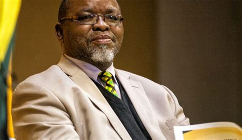 Gwede Mantashe: Elect ANC leaders with succession in mi...