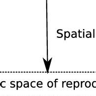 Ambisonics reproduction diagram. | Download Scientific Diagram