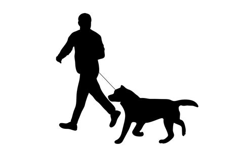 silhouette Man is walking dog together vector illustration concept about animals and pets ...