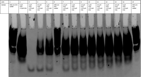 Team:Munich/Notebook - 2017.igem.org