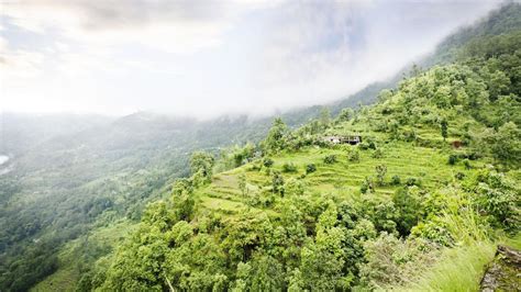 11 Best Hotels in Kaluk, India