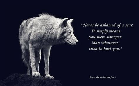 Pin by Gloria Milburn on Words | Lone wolf quotes, Wolf quotes, Warrior quotes