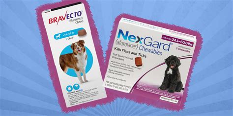 5 Best Flea Pills For Dogs, According To A Vet - DodoWell - The Dodo