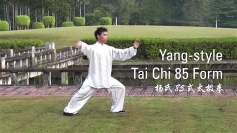 Yang-Style Tai Chi 85 Form : Part 1 (杨氏85式太极拳) - YouTube