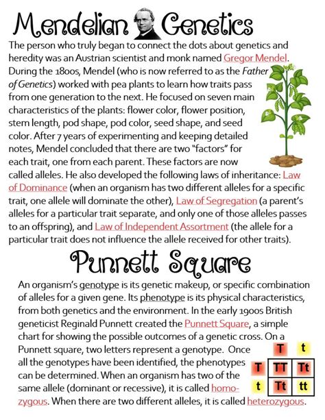 Heredity & Genetics (Gregor Mendel, Punnett Square) ~ Anchor Chart ...