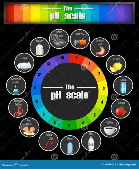 Science pH scale template stock vector. Illustration of science - 131476049