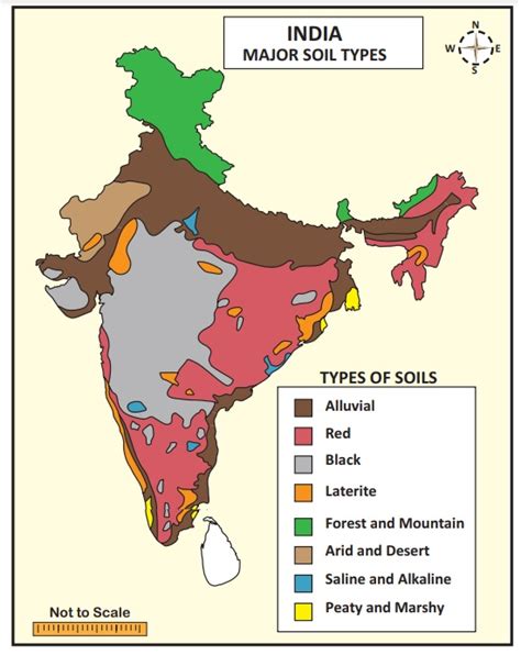 India - Agriculture - Geography | Social Science