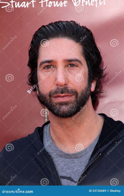 David Schwimmer editorial stock image. Image of david - 24726089