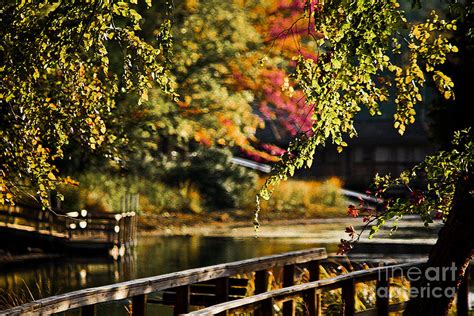 Fall at Tyler State Park Photograph by Kim Henderson - Fine Art America