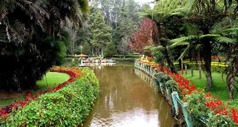 Sim's Park Coonoor (Entry Fee, Timings, Images & Location) - Ooty Tourism 2023