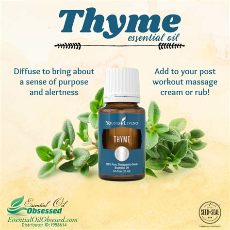 Thyme essential oil | Thyme essential oil, Essential oils, Oils