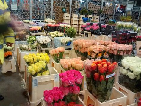 Tired of London, Tired of Life: Visit New Covent Garden Flower Market