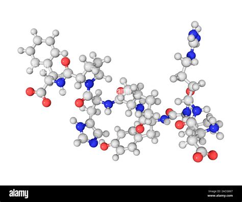 Angiotensin II molecule. Computer model showing the structure of a molecule of the hormone ...