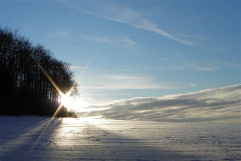 Winter Sun Free Stock Photo - Public Domain Pictures