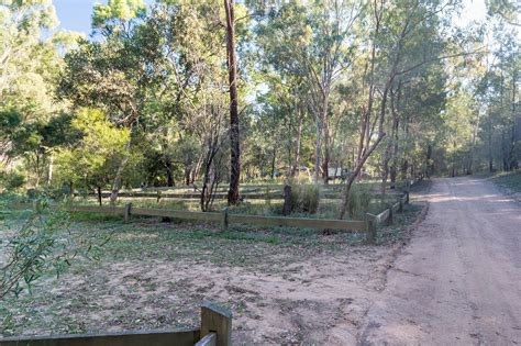 National Park Odyssey: The Broadwater Camping Area, Sundown National Park, QLD.