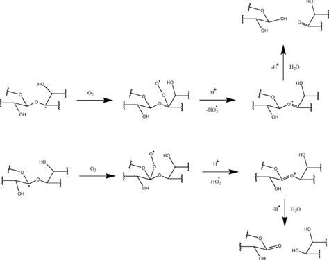 Cleavage of the glycosidic bond from the reductions of ground state... | Download Scientific Diagram