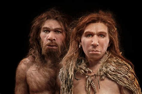 Neanderthal ears were tuned to hear speech just like modern humans ...