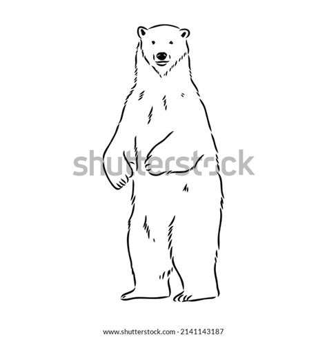 1,717 Polar Bears Realistic Images, Stock Photos & Vectors | Shutterstock